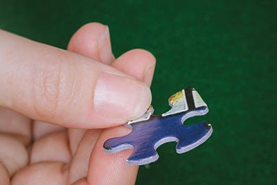 Party Time (2203pz) - 1000 Piece Jigsaw Puzzle
