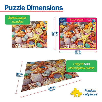 Beach Shells (1486pz) - 500 Pieces